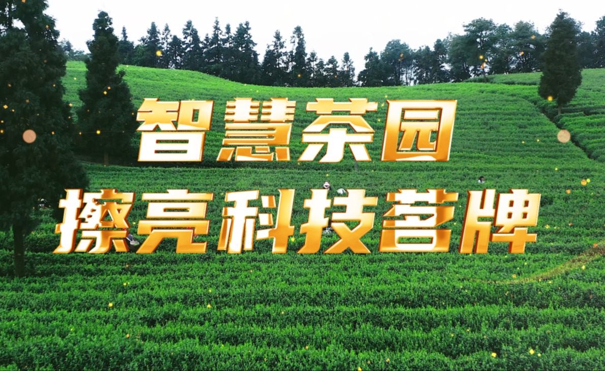 智慧茶园，擦亮科技茗牌
