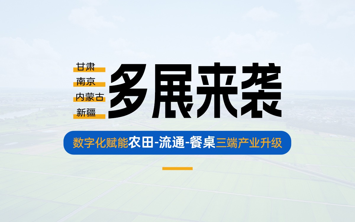 盛夏多展来袭，共探产业数字化新路径